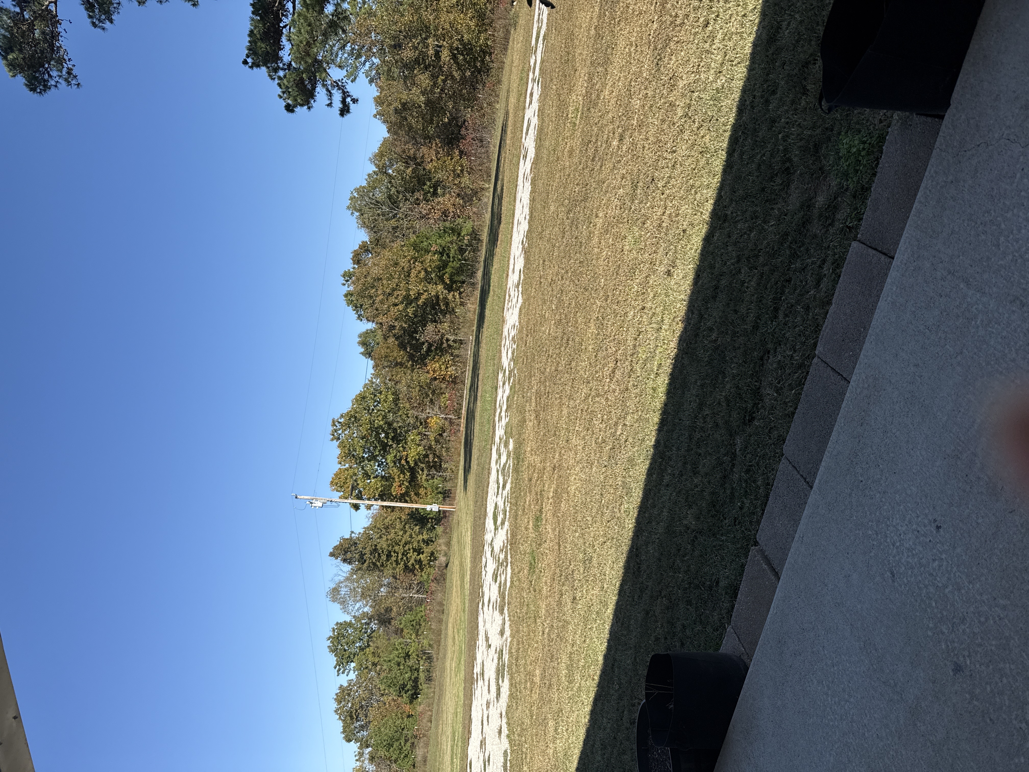 Cruise Brothers Travel Agent Patricia Dunn